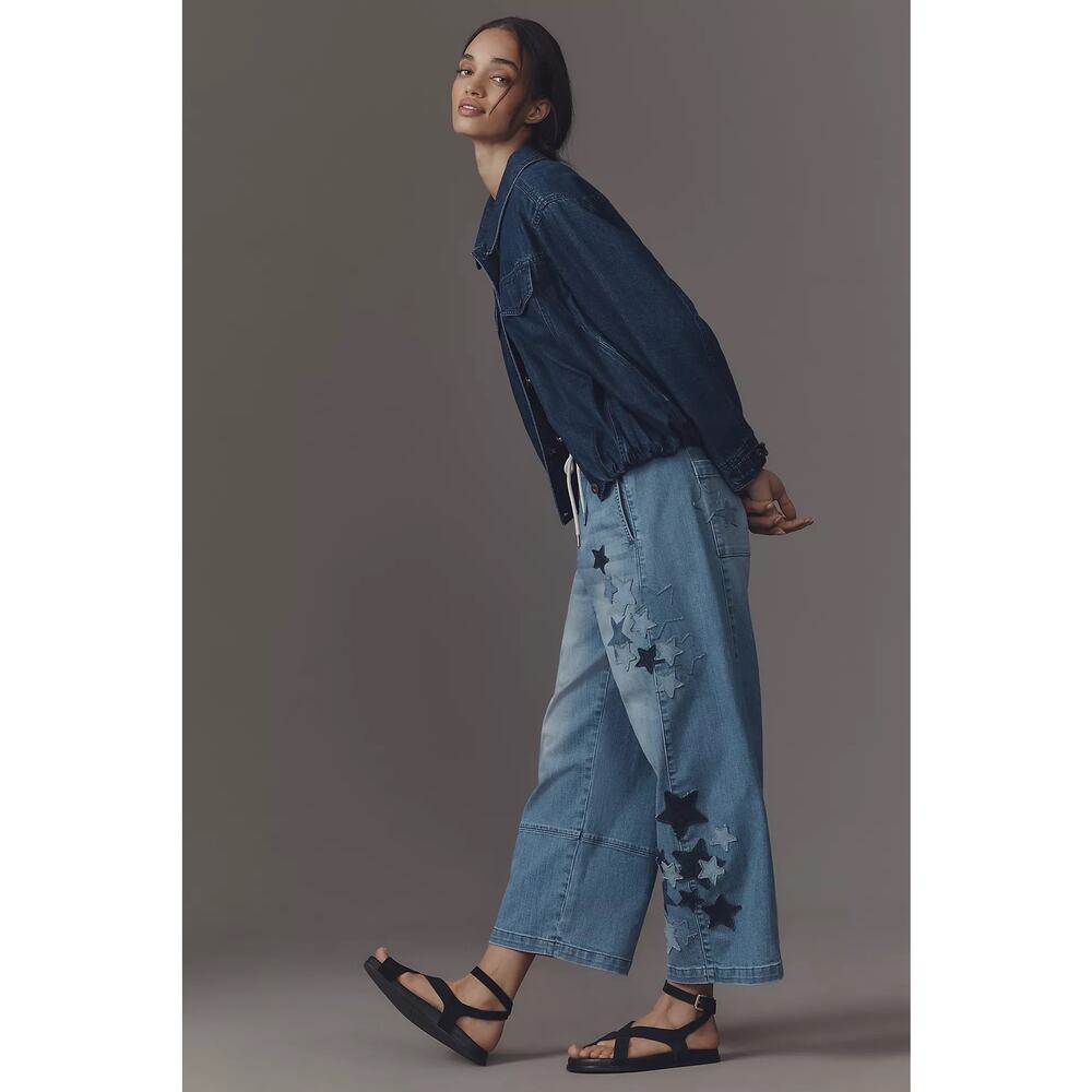 nwt ANTHROPOLOGIE PILCRO sz M The Izzie Pull-On Barrel Jeans w star applique - Picture 6 of 7